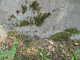 image of grave number 366109